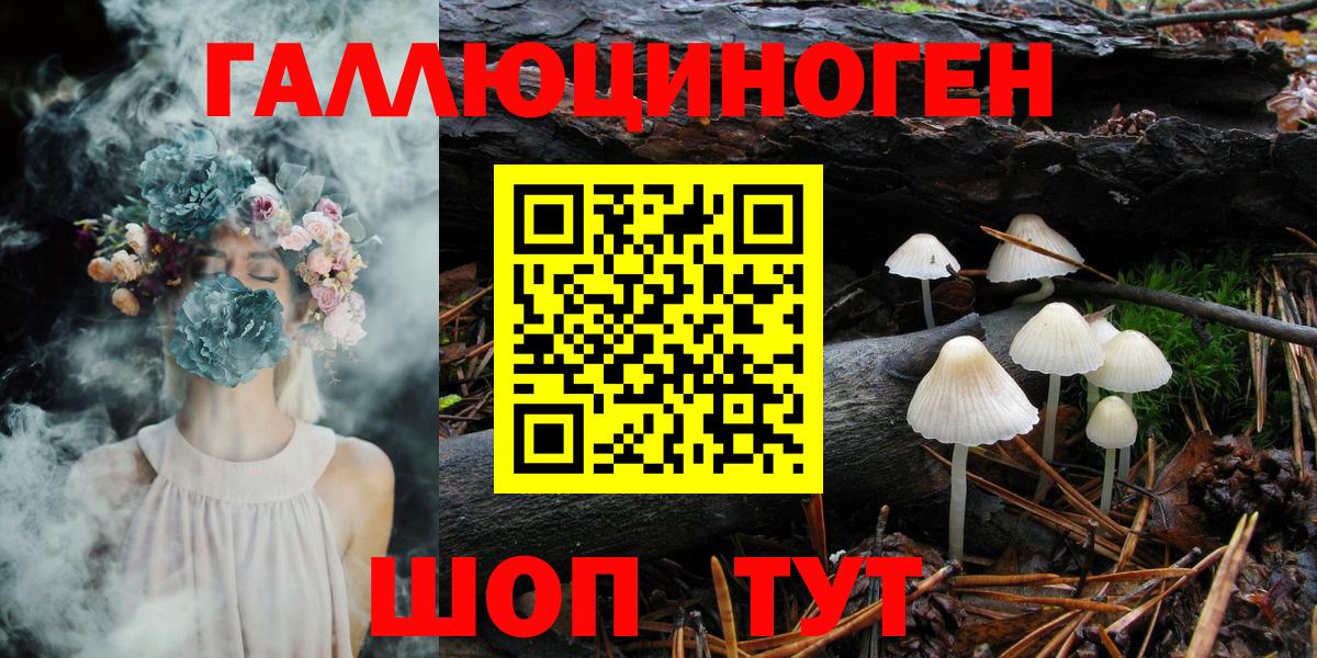 купить закладку  Вход с VPN  Чита  Галлюциногенные грибы GOLDEN TEACHER 