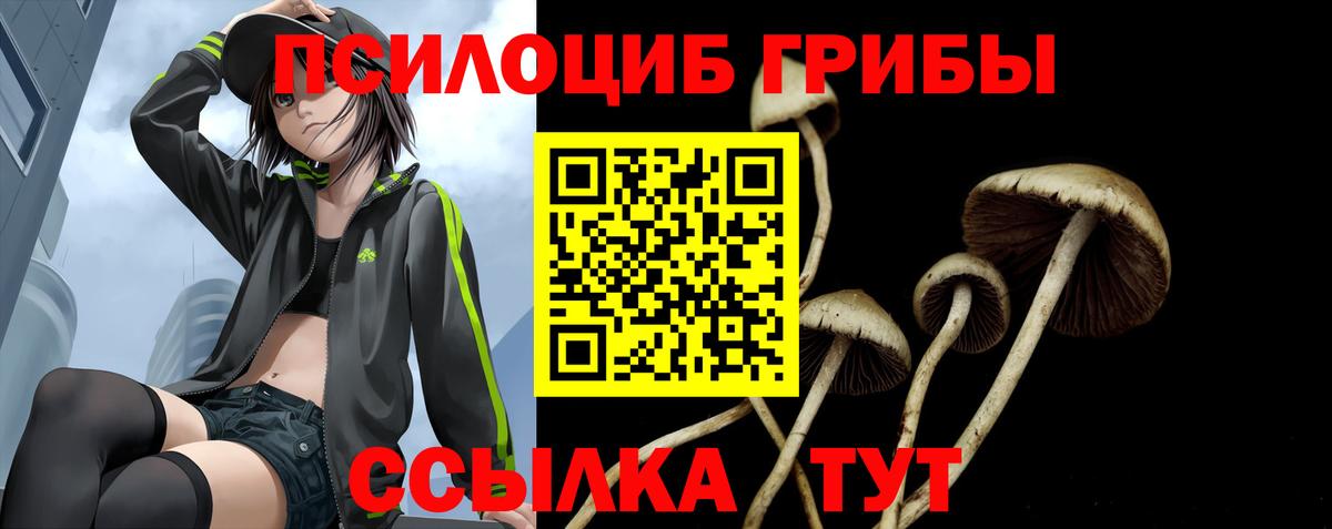 Галлюциногенные грибы мухоморы Чита